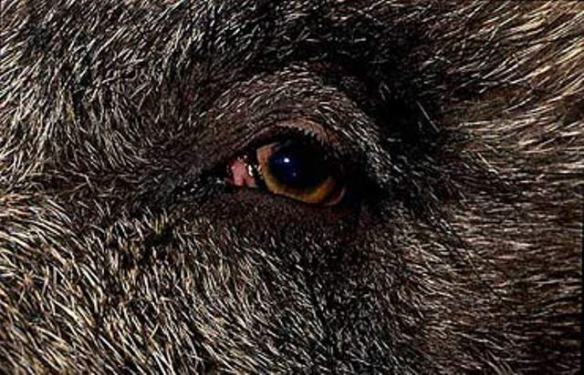 Jij ziet mij niet, maar ik zie jou wel...haha