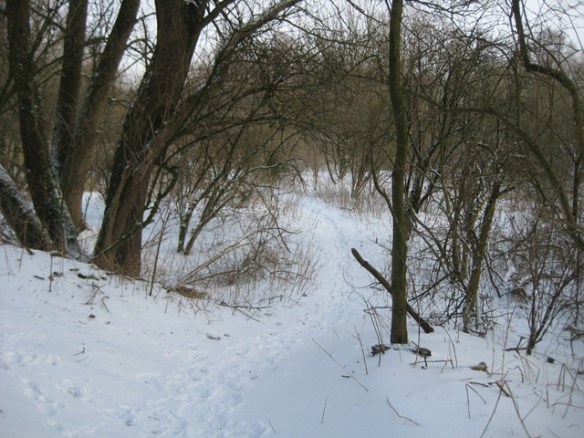 Een ommetje in een buitenwijk van Amsterdam