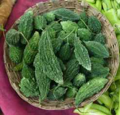 sopropo Chinastyle web