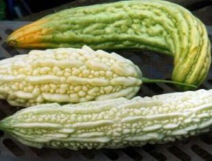 Sopropo overrijp web