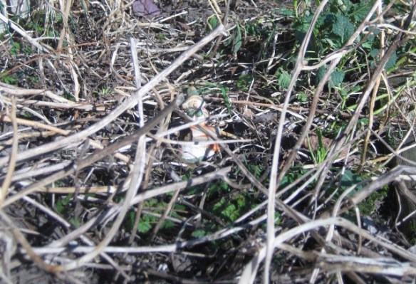 De moestuin, een jaar later